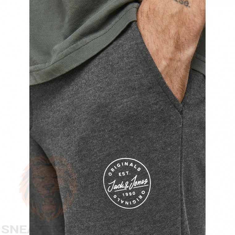 Спортивні штани Jack&Jones gordon jogger 12165322